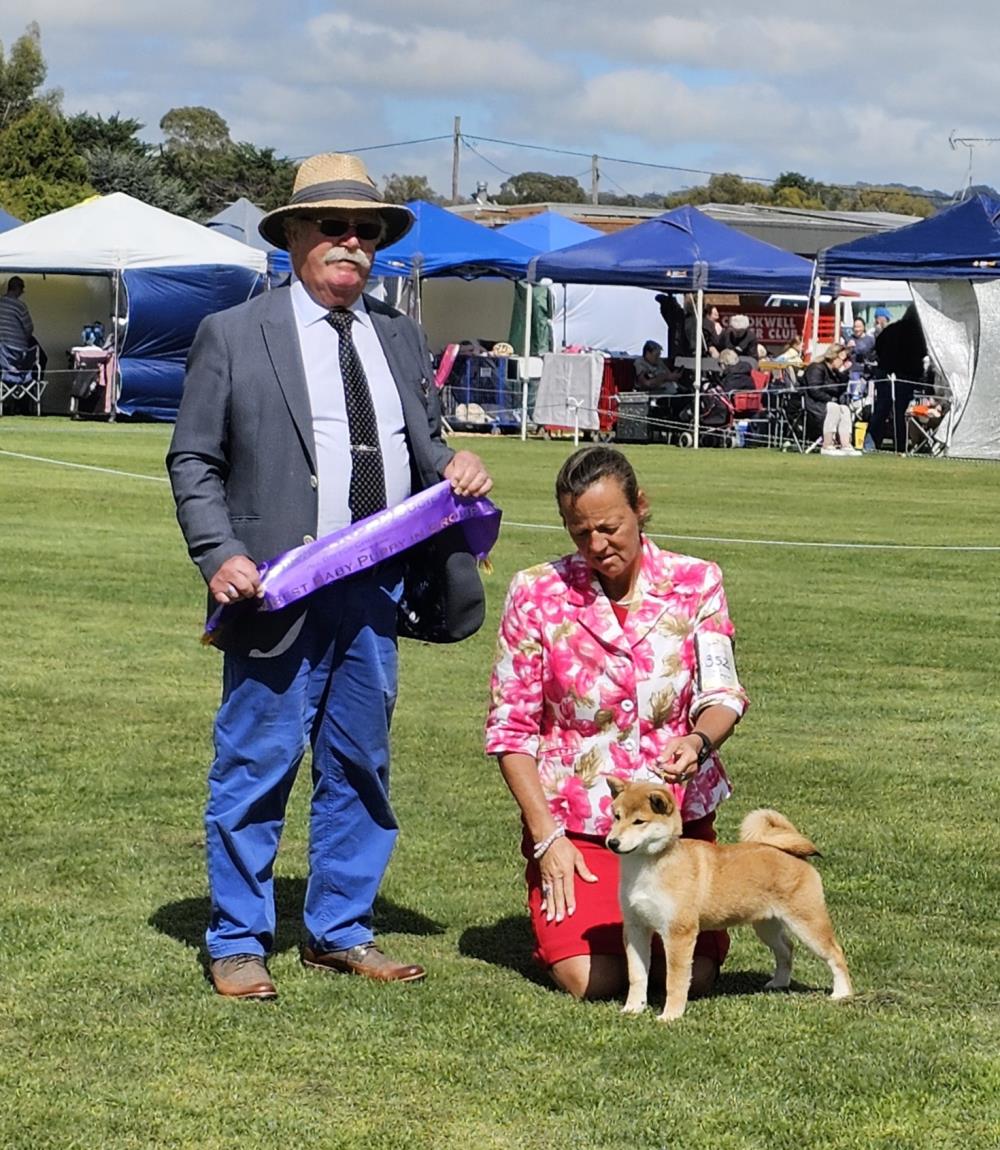 Merbein Kennel Club (PM) - Show Manager Results