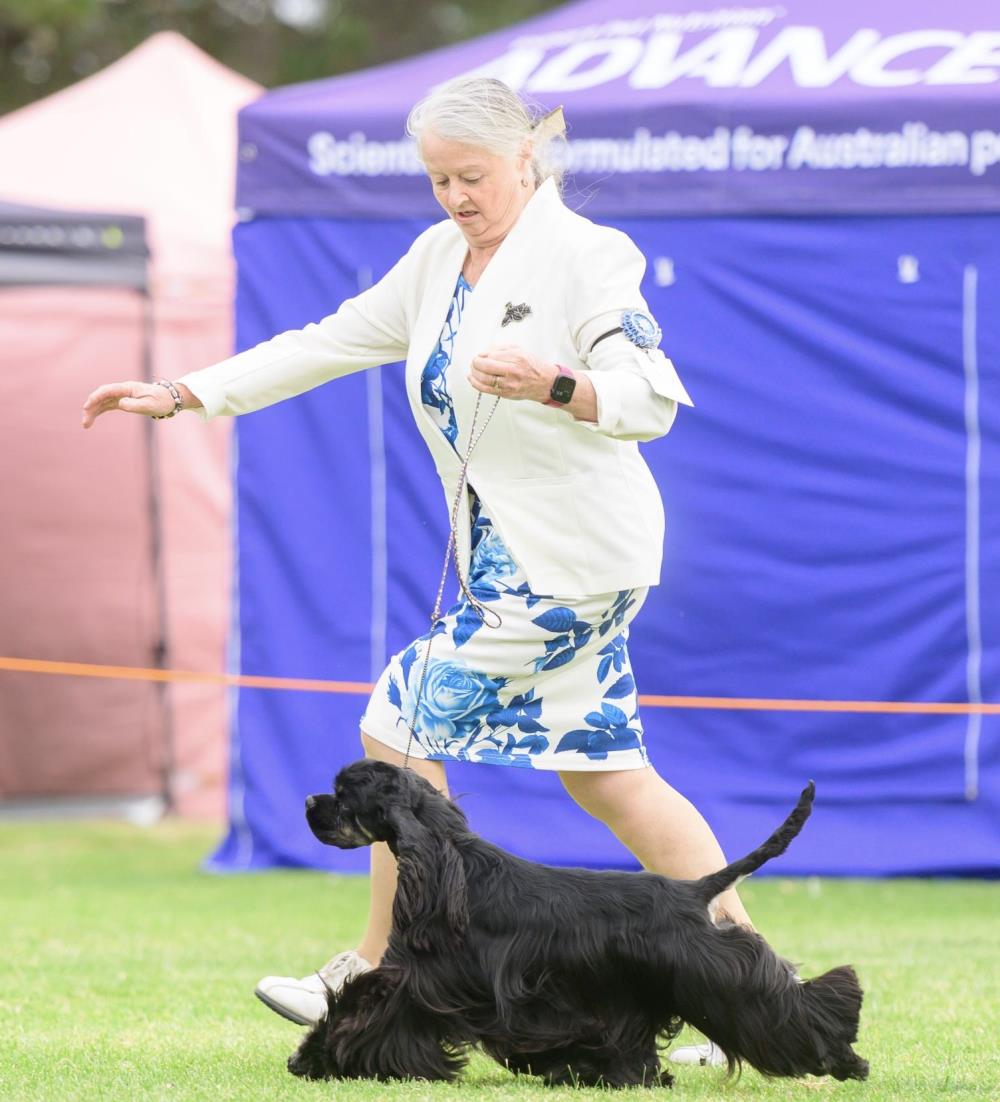 Bendigo Agricultural Show Society Inc (AM Show) - Show Manager Results