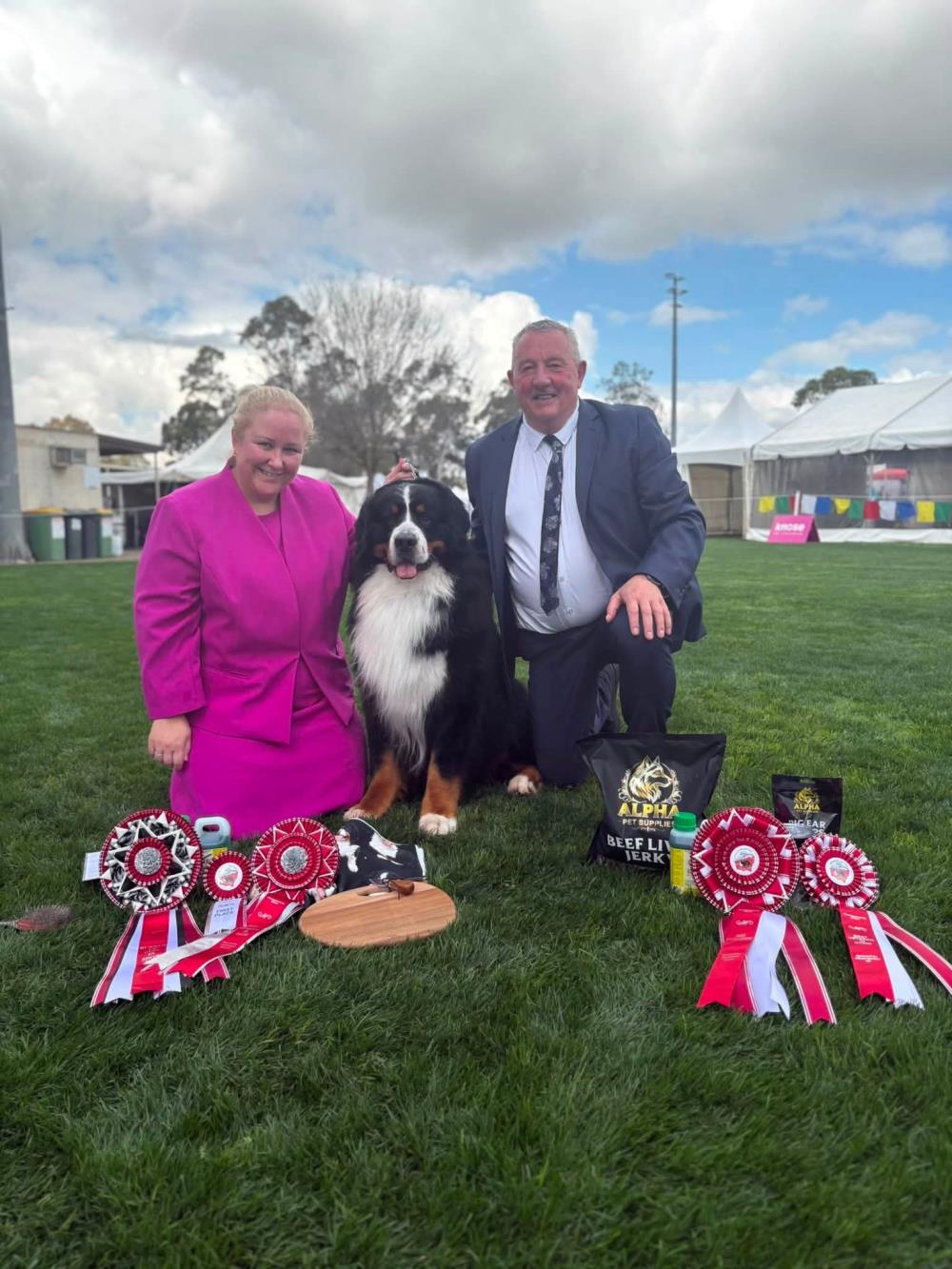 Baby Mini Rottweiler Bendigo Agricultural Show Society Inc (AM Show) - Show Manager Results