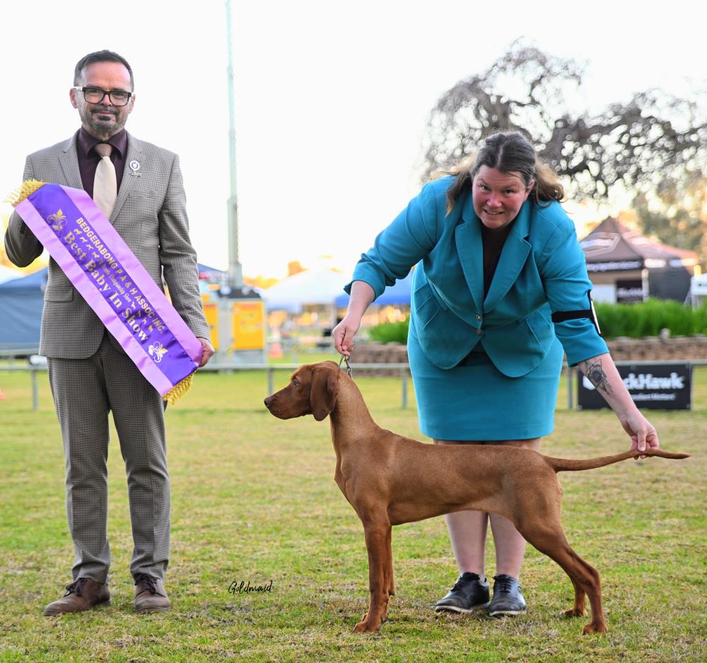 Mackay Kennel Club Inc (Show 2) - Show Manager Results